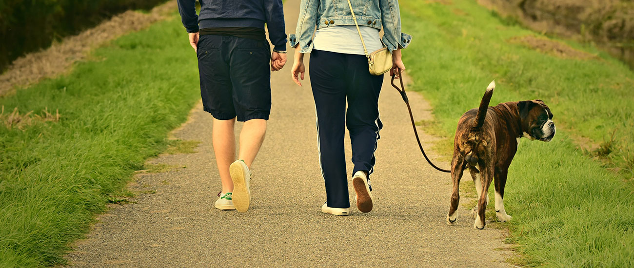 地区・他クラブへのリンク