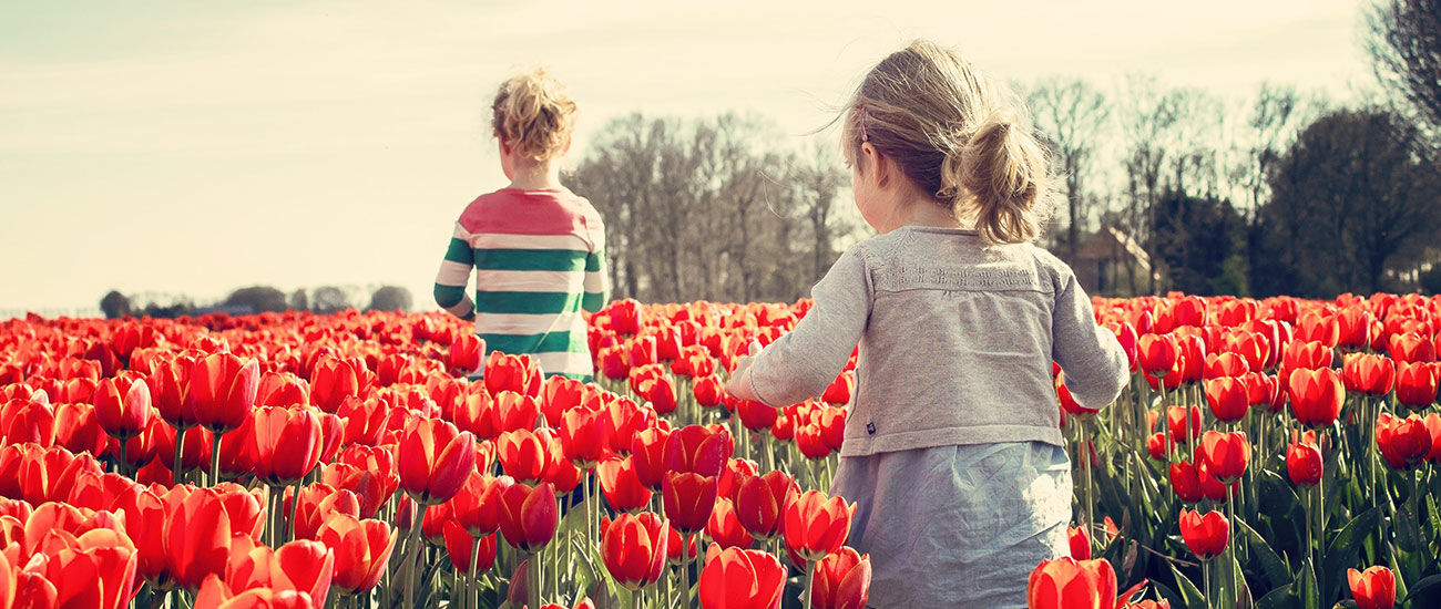 新着情報・活動報告